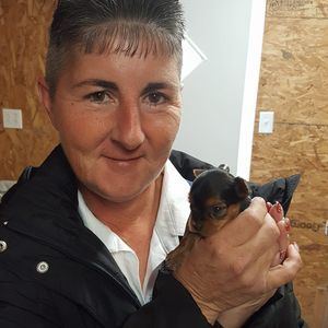 Meet your Posher, Rachel